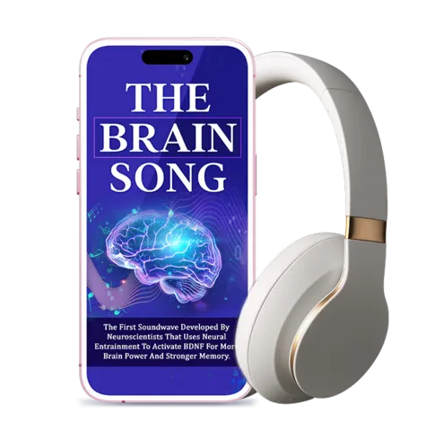 The Brain Song USA